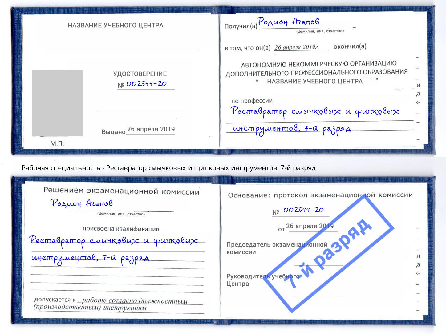 корочка 7-й разряд Реставратор смычковых и щипковых инструментов Крым